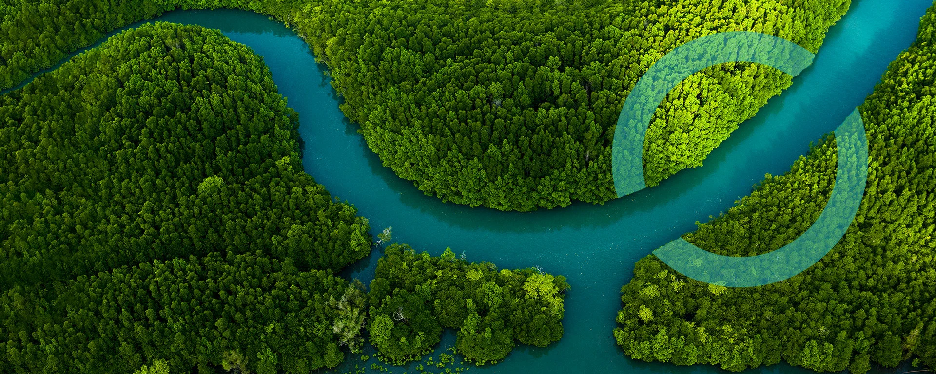 Natürlicher Wasserlauf in unberührter Natur