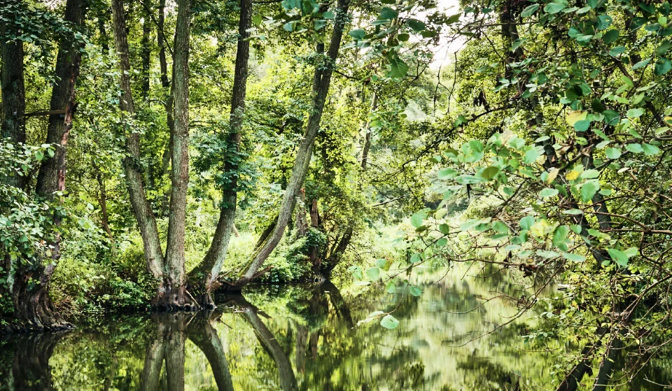 Wasser- und Umweltschutz