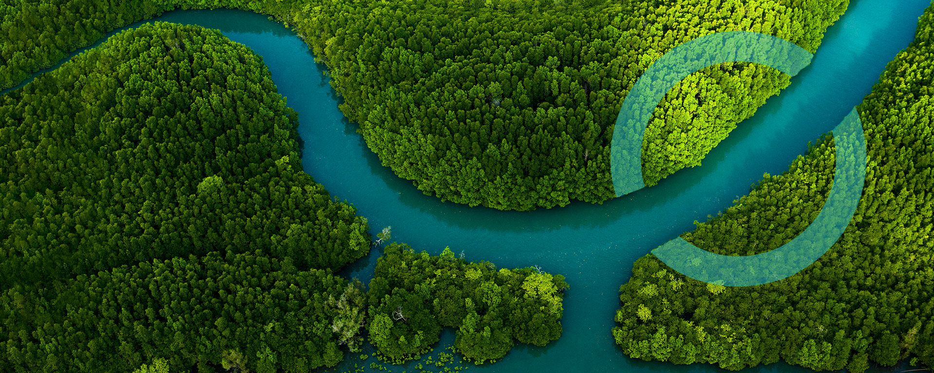 Natürlicher Wasserlauf in unberührter Natur