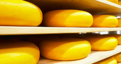 Abwasserreinigung Lebensmittelindustrie